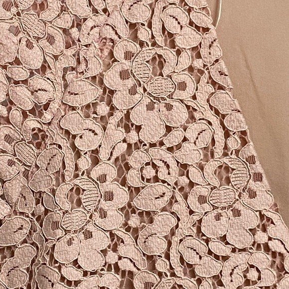 NWOT Zara Lace Overlay Mini Dress Size XS Light Pink Cap Sleeve Fairy - Picture 13 of 15